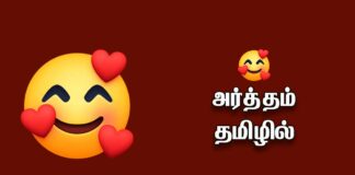 🥰 meaning in Tamil