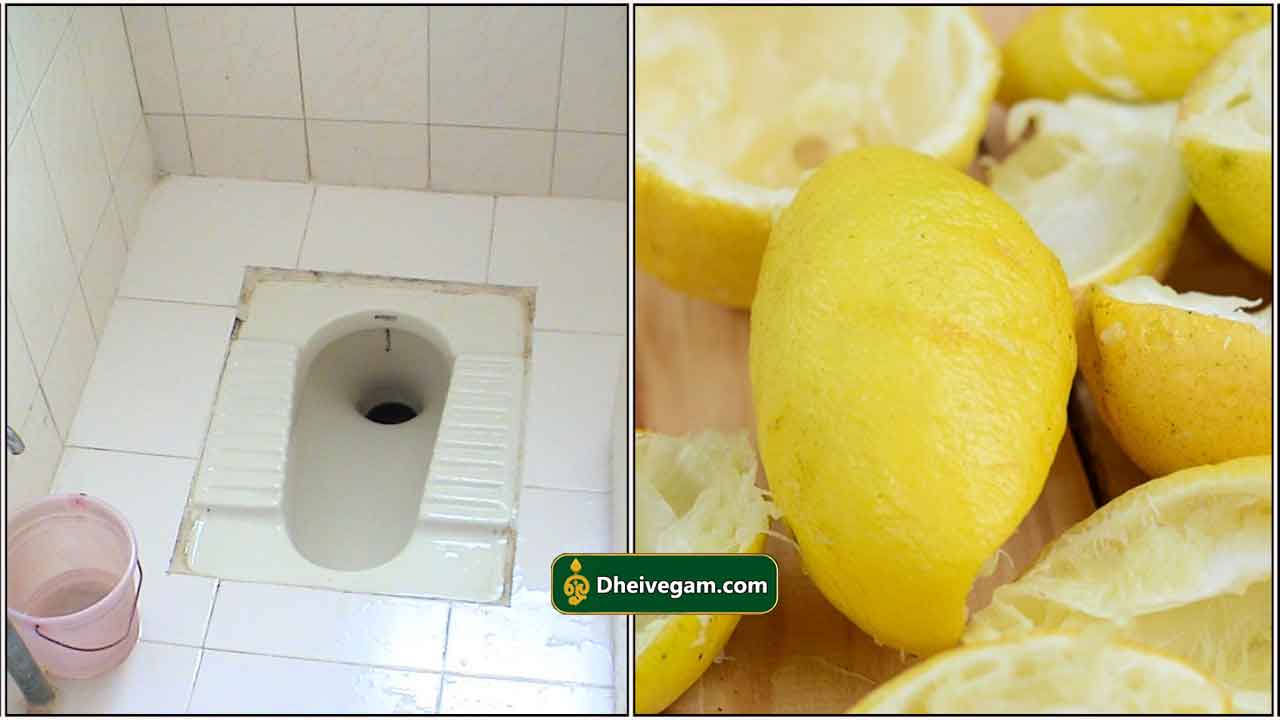 டாய்லெட்டை கிளீன் பண்ண தரமான ஐடியா இது தாங்க. செலவும் கம்மி, கறையும்