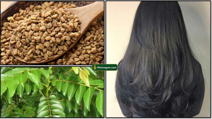 venthayam-karuvepilai-hair