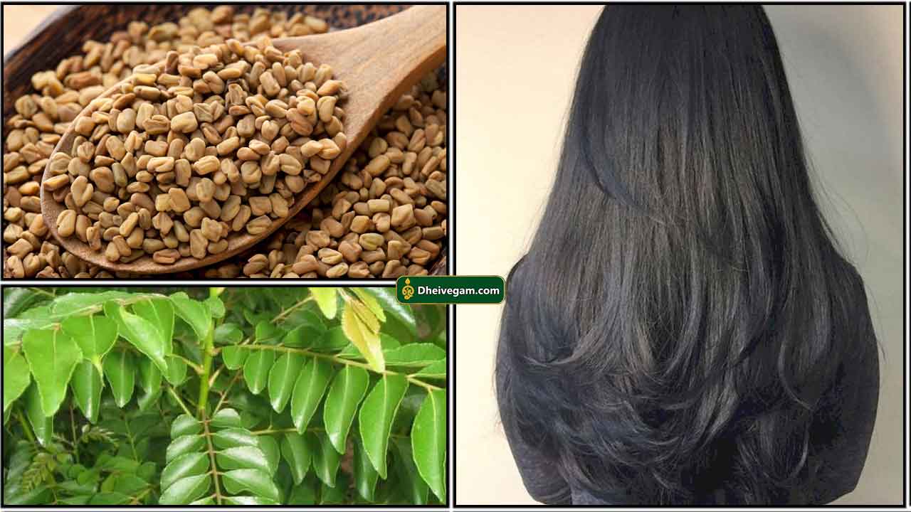 venthayam-karuvepilai-hair