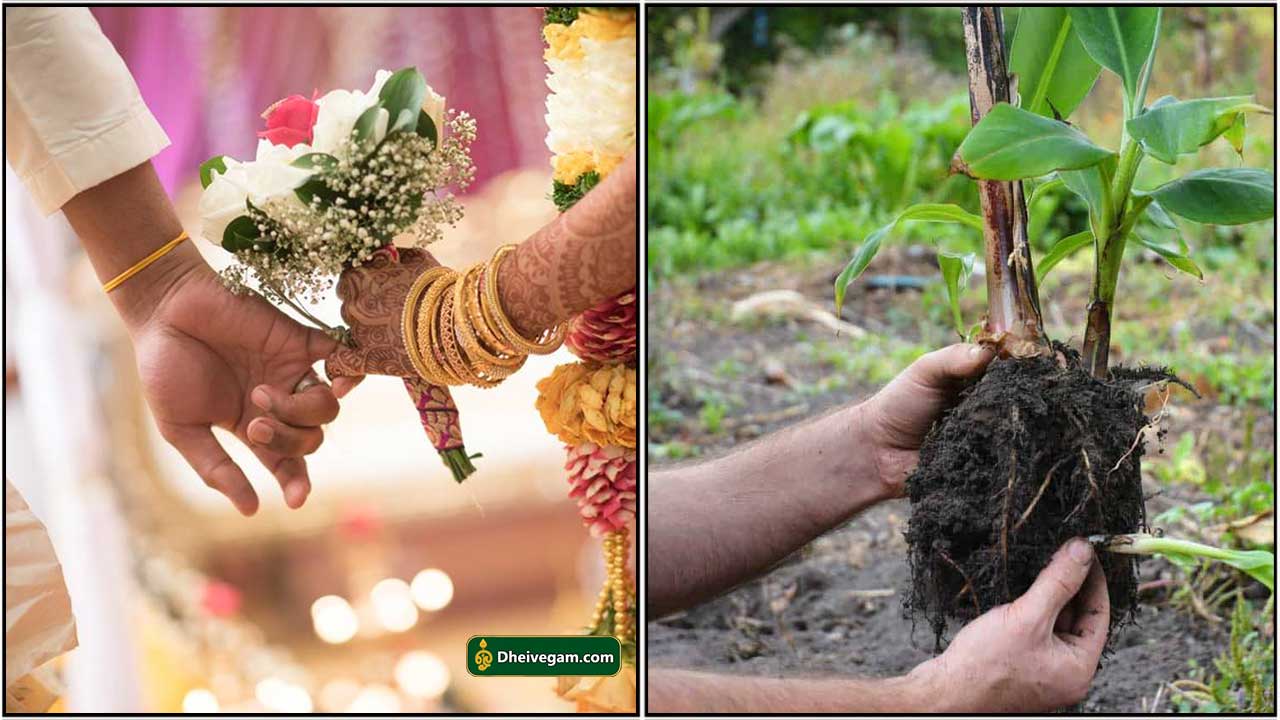 viraivil thirumanam aga enna pariharam in tamil language