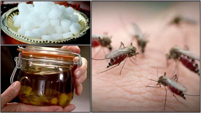 mosquito killer tips