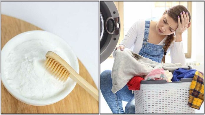 egg powder stain