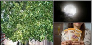 arasamaram pournami panam