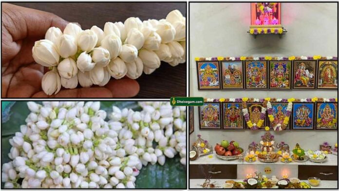 malli-poo-pooja-room