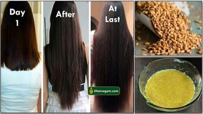 hair24