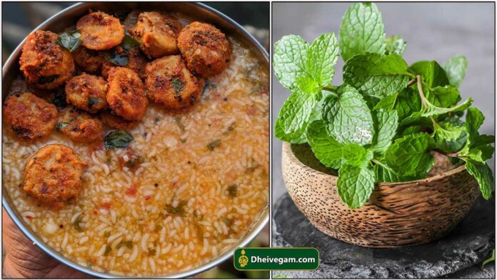 mint-rasam