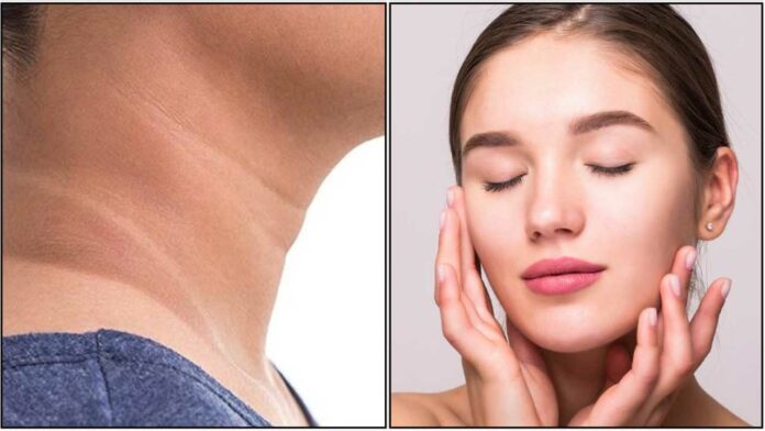 neck