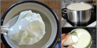 curd prepare