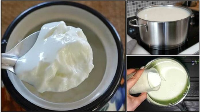 curd prepare