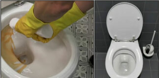 Toilet Cleaning hacks