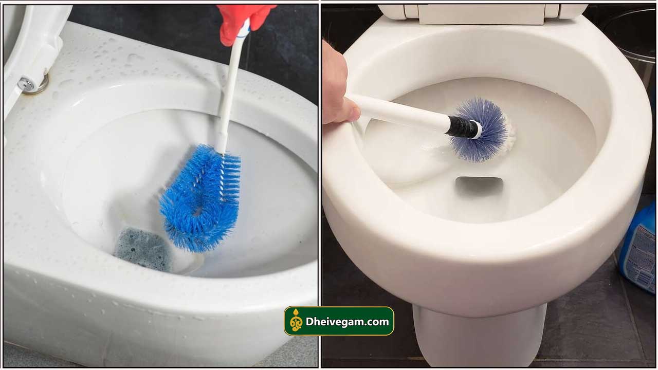 toilet1