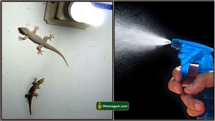 lizard spray