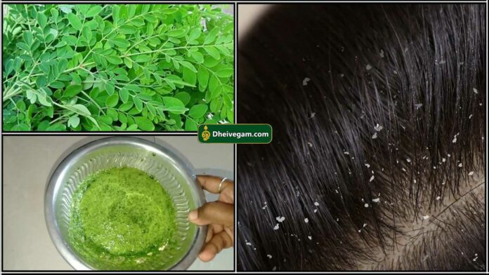 murungai keerai hair pack