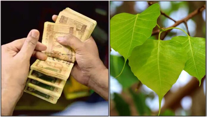 arasa-ilai- cash in hand