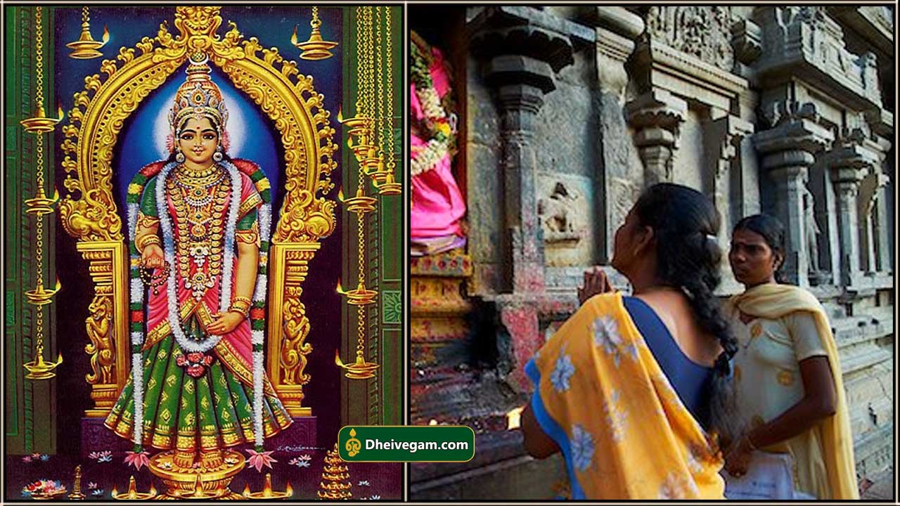 Sree Singaravelan | Thiruchendur Murugan - Thevar Art Gallery | Goddess  artwork, Lord shiva painting, God art