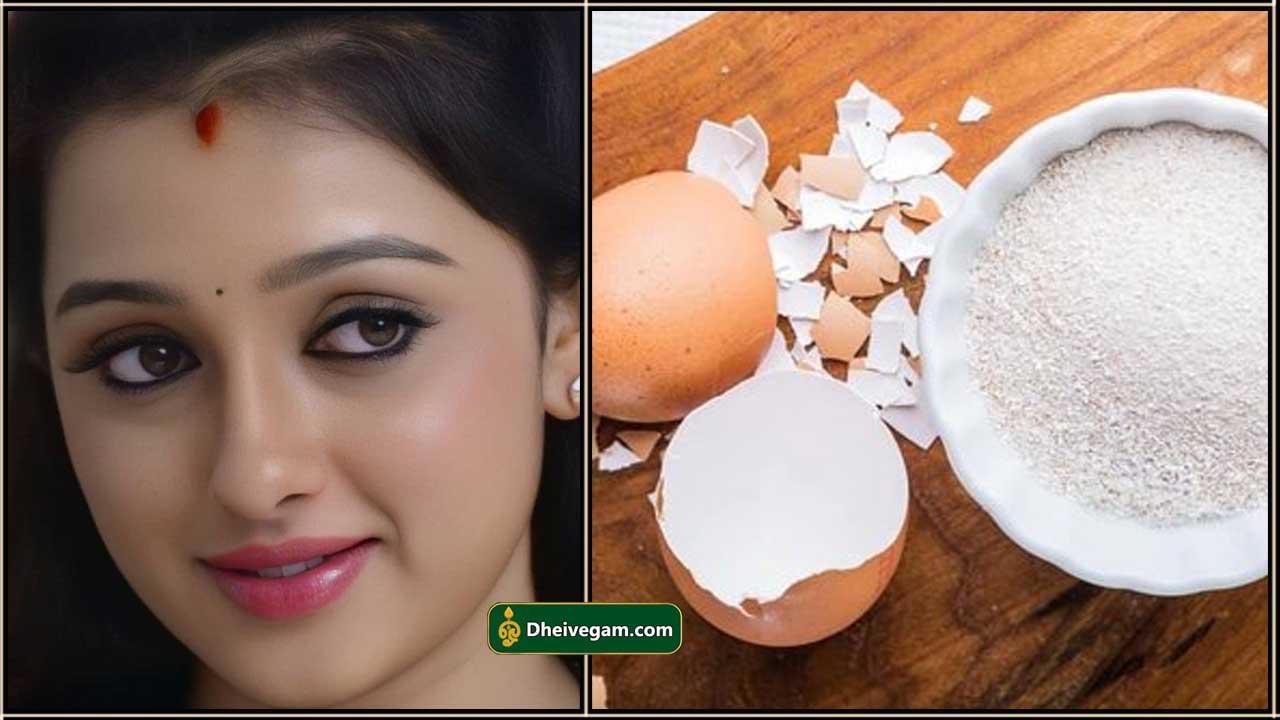 முகத்தை பொலிவுடன் மாற்றக்கூடிய முட்டை ஓடு ஃபேஸ் பேக் Egg shell face pack