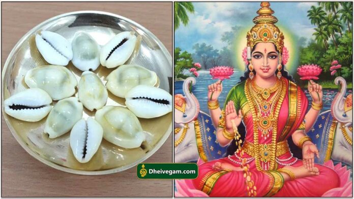 mahalashmi1