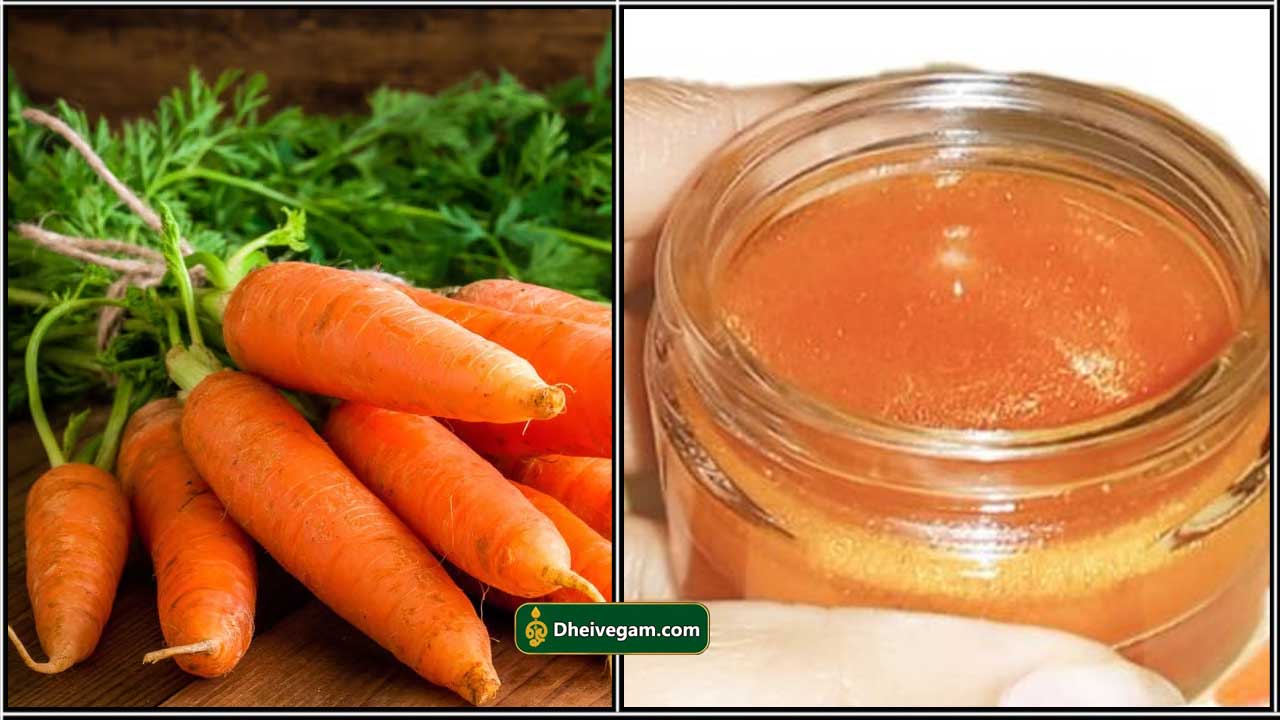 கேரட் ஃபேஸ் க்ரீம் Homemade carrot face cream