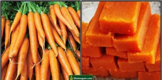 carrot mysore pak