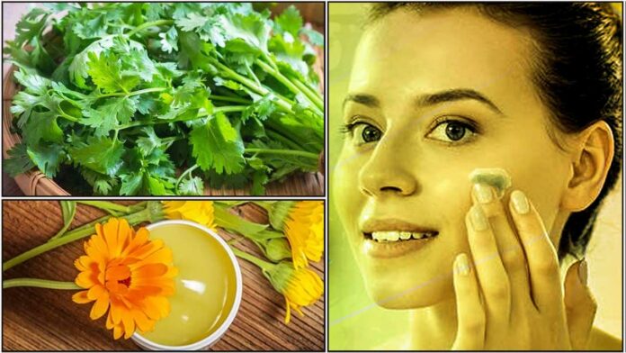 coriander face