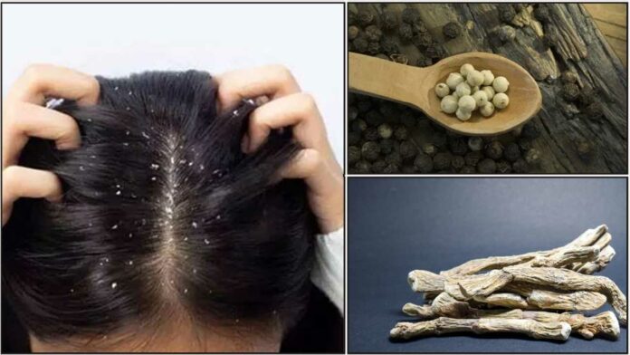 drandrafu white pepper vashambhu