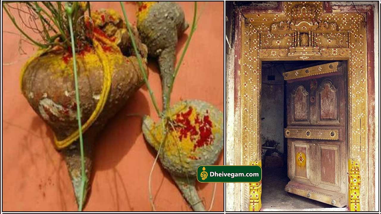 vasal2