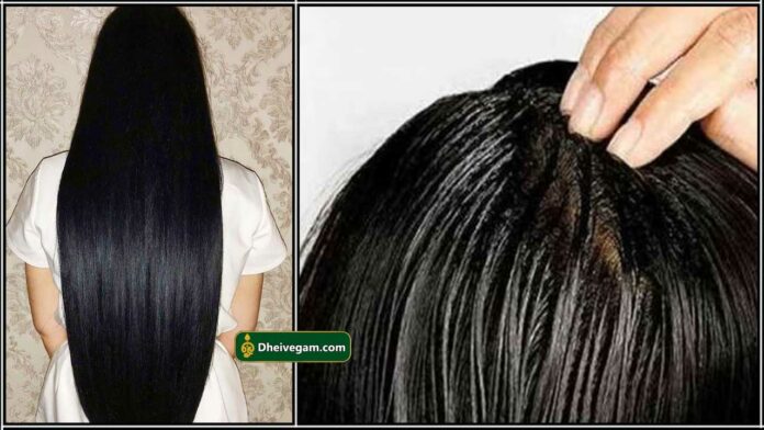 black hair oil