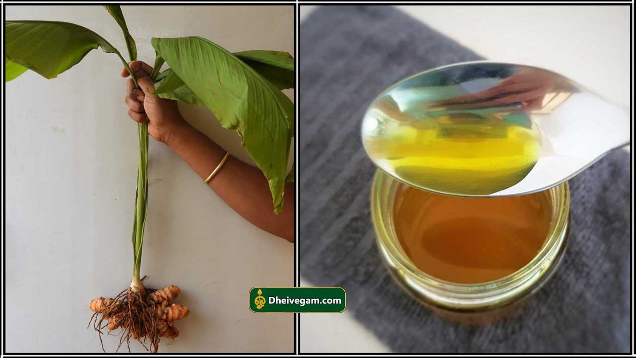 turmeric oil