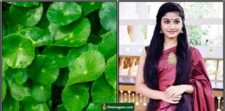 வல்லாரைக் கீரை அழகு குறிப்பு vallarai keerai