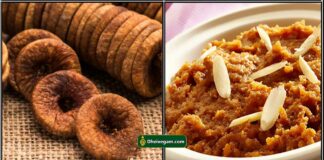 fig fruit halwa