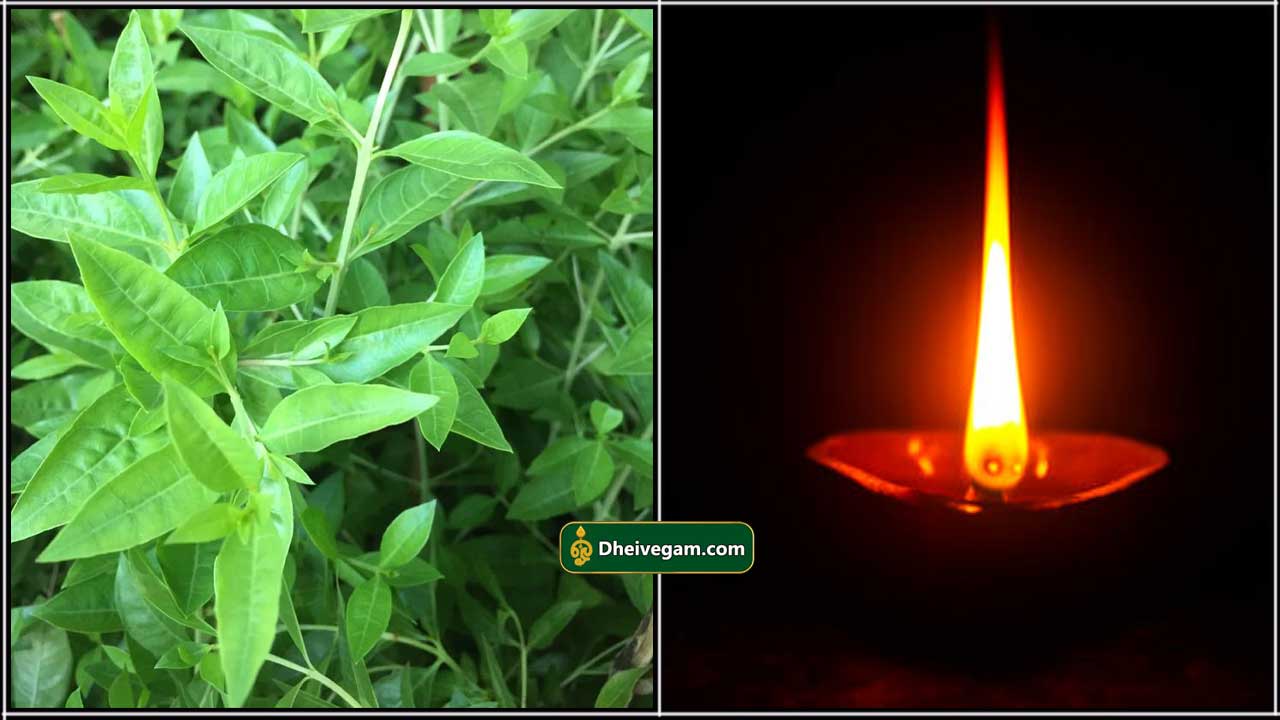 maruthani deepam