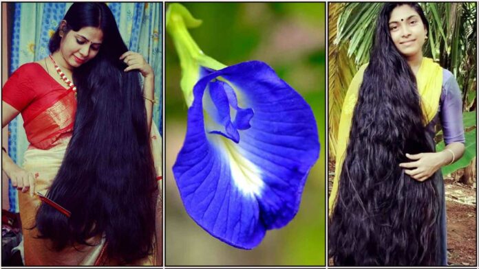 long hair tips