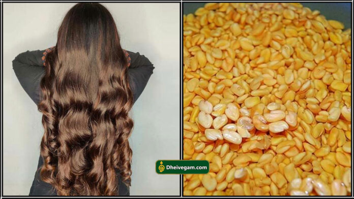 healthy hair
