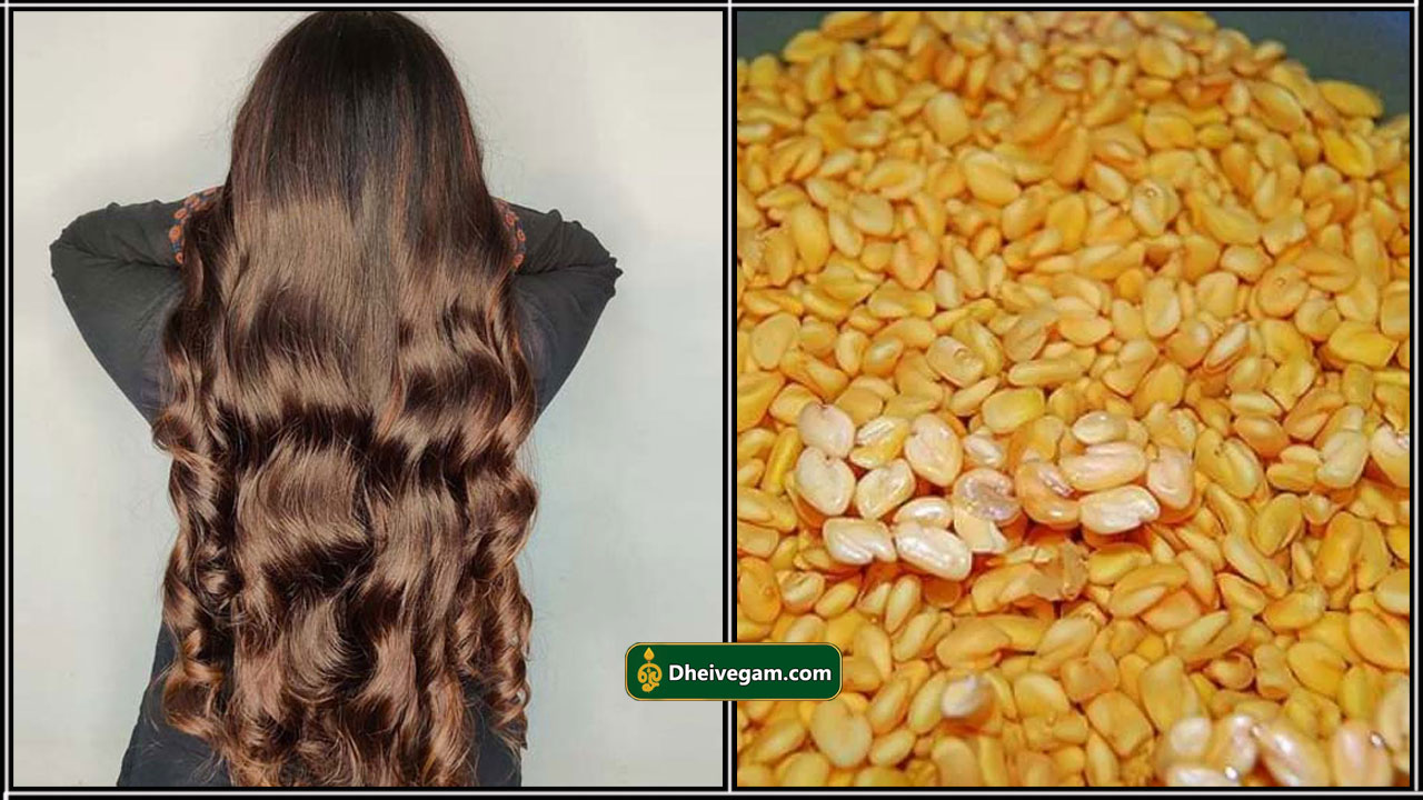 healthy hair
