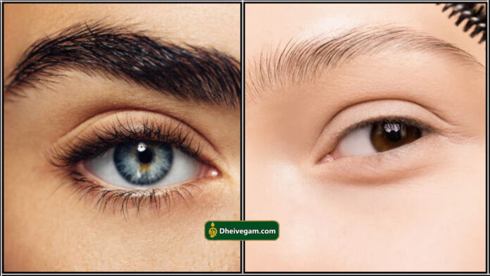 eye brows