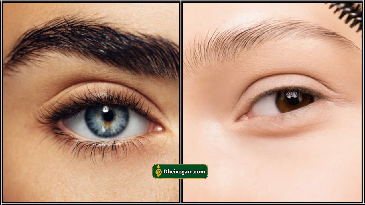eye brows