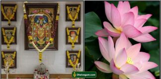 dheiveega sakthi