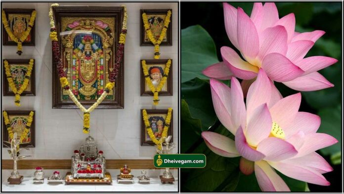 dheiveega sakthi