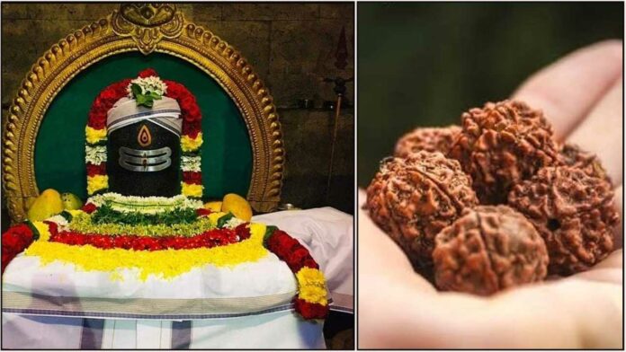 sivan rudrasha dheepam