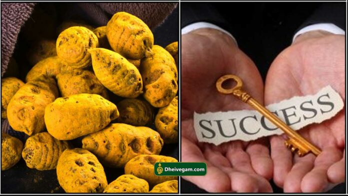 manjal success