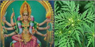 குலதெய்வத்தை வீடு தேடி வர வைக்கும் விளக்கு amman2