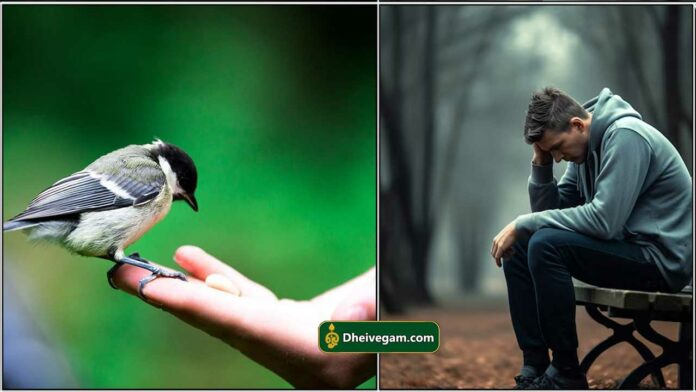 bird