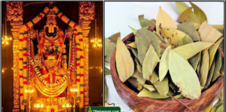 perumal biriyani ilai