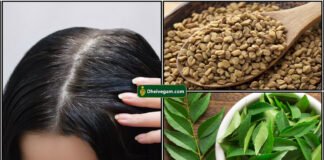 நரை முடியை கருமையாக்கும் இயற்கை ஹேர் டை curry leaf fenugreek