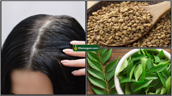 curry leaf fenugreek