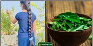 curry leaf for hair loss