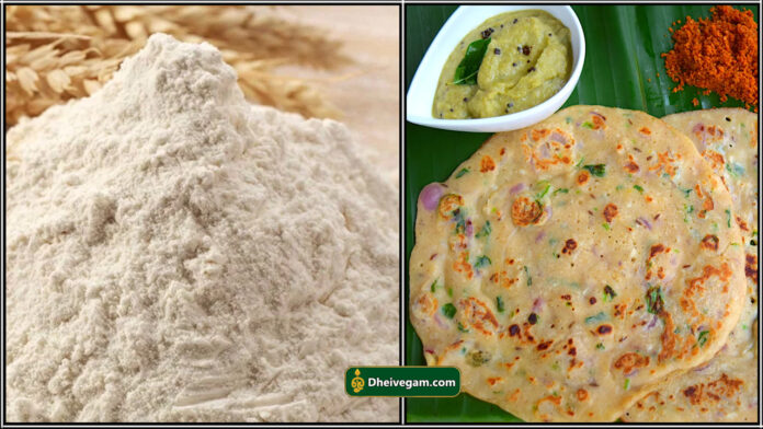 wheat dosai
