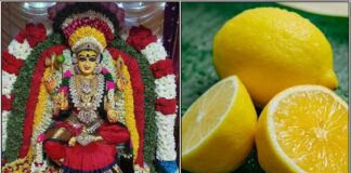 amman lemon