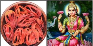 mahalashmi1